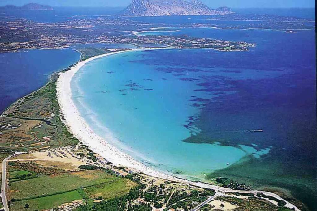 Villa Molly San Teodoro  Bagian luar foto